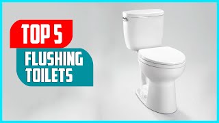 Top 5 Best Flushing Toilets 2023 Review amp Buyers Guide [upl. by Nywg]