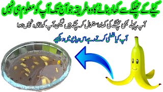 The method of making fertilizer from banana peel which you dont know till today [upl. by Foushee142]