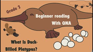 Beginner Reading What is DuckBilled Platypus Grade 2 IB Curriculum DRP reads [upl. by Yr]