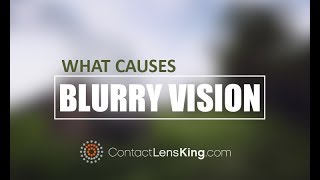 What Causes Blurry Vision In One or Both Eyes [upl. by Kaehpos464]