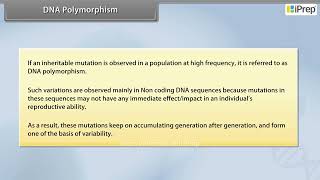 DNA Polymorphism  Molecular Basis of Inheritance  Biology  Class 12th  iPrep [upl. by Rosalee683]