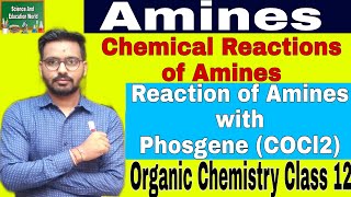 Reaction of Amines with Phosgene COCl2  Amines Organic Chemistry Class 12 shorts short amines [upl. by Wyne]