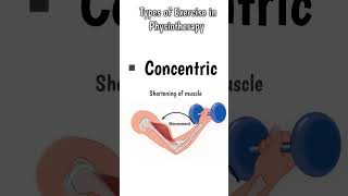 Types of exercise in physiotherapy  Eccentric Exercise  Concentric Exercise physiotherapyshorts [upl. by Spillihp334]