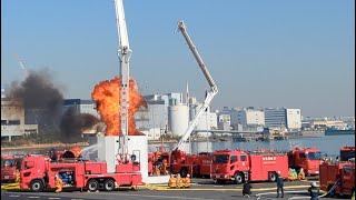 令和6年東京消防出初式  Amazing Performance by Japanese Firefighters [upl. by Bradney]