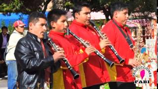 banda orquesta apostol santiago pariahuanca la orquesta [upl. by Sidras264]