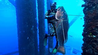 Spearfishing Offshore Oil Rigs WORLD RECORD 137 lb Cubera Snapper [upl. by Lahcsap350]