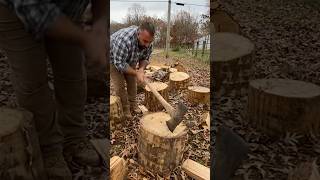 Splitting wood with an axe 61 splittingfirewood [upl. by Rekrap]