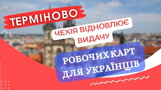 ТЕРМІНОВО Чехія відновлює видачу робочих карт для українців до кінця [upl. by Groeg185]