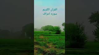 quranurdurecitation urdutranslation qurantilawat nature bayan beautiful love [upl. by Chamberlin574]