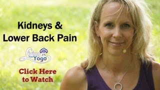 Kidneys and Lower Back Pain Relief through Yoga [upl. by Tnilf168]