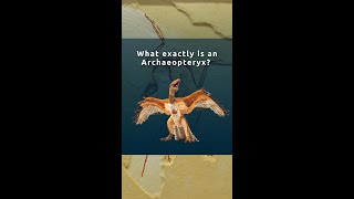 What Exactly Is an Archaeopteryx [upl. by Sanborne]