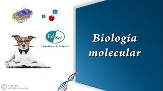 🟠 Biología molecular 🔝✅ [upl. by Iaoh]