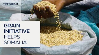 Black Sea Grain Initiative helped Somalia [upl. by Prady953]