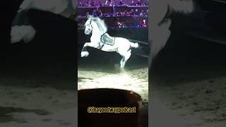 Flying Horse Kick Shorts 😳🤕 What happens when you hit horses [upl. by Dagmar]