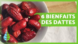 BIENFAITS DES DATTES 💚  Propriétés comment en manger et contreindications [upl. by Curtis]