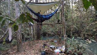 Acampamento Selvagem mata a dentro no Matogrosso na beira de um riozinhofomos roubados por macacos [upl. by Thill500]