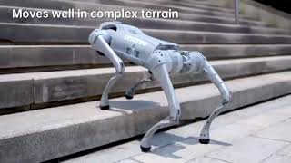 Unitree Go2 AI large model robot dog Go2 electronic dog bionic companion robot quadruped robot dog [upl. by Durant155]