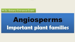 How to read efficiently Angiosperm plant families [upl. by Adnaw]