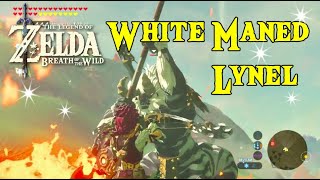 White Maned Lynel in Zelda Breath of The Wild [upl. by Ettenot477]