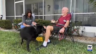 Punta Gorda man actively searches for missing service dog [upl. by Atikin]