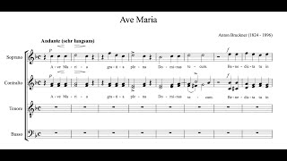 Anton Bruckner  Ave Maria [upl. by Zaob150]