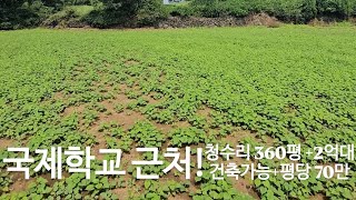 제주임장  제주영어교육도시 근처 청수리 2차선 도로 한 필지 옆 토지 매매 feat360평 제주도토지 제주시토지 한경면토지 청수리토지 제주토지 제주부동산 [upl. by Barbour]