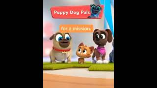 Puppy Dog Pals Season 5 Premieres tomorrow [upl. by Rotman]