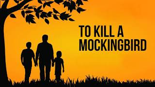 To Kill A Mockingbird Audiobook Complete Chapter 25 [upl. by Eiramasil657]