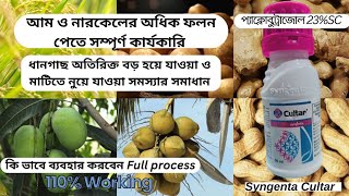 Cultar কি পরিমানকখন ব্যবহার করবেনধানগাছ মাটিতে নুয়ে পড়া সমস্যার সমাধান আম ও নারিকেলের অধিক ফলন [upl. by Haeli658]