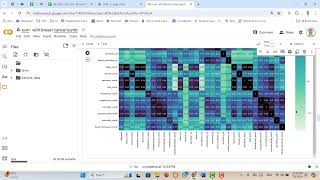 30  Breast Cancer classification with correlation feature selection and EDA [upl. by Esetal]