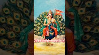 श्री कार्तिकेय गायत्री मंत्र shree kartikey gayatri mantra  vairalshort [upl. by Acinhoj64]