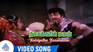 Nayakkarin Magal Movie Songs  Kalaiyatha Kanavondru Video Song  Vijayakumar  Jayachitra  MSV [upl. by Ramso]