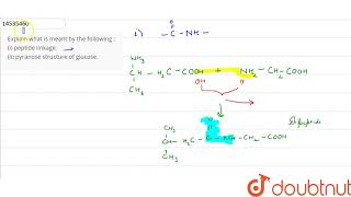 Explain what is meant by the following  i peptide linkage ii pyranose structure of glucose [upl. by Enyawad]