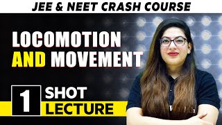 Locomotion and Movement  One Shot Lecture  CHAMPIONS  NEET CRASH COURSE 2022 [upl. by Pooh]