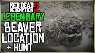 Red Dead Redemption II Horseshoe Overlook Legendary Beaver [upl. by Annehs]