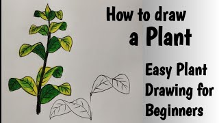 How to draw a Plant very Easily Easy Plant Drawing for Beginners [upl. by Joon]