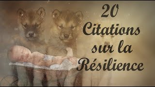 20 citations sur la Résilience [upl. by Ahsekin707]