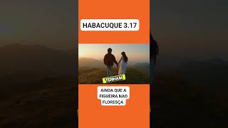 Habacuque 317 [upl. by Constantine665]