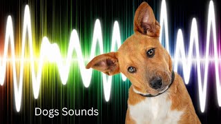 Dogs barking sound effect [upl. by Auliffe257]