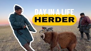 Малчин хүний нэг өдрийн амьдрал хэрхэн өрнөдөг вэ  Day in a life of Herder [upl. by Lahsram]