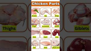 ChickenRelated Words in English with the picture  Vocabulary Lessonenglishimprovevocabulary [upl. by Gratt90]