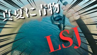 【高知】真夏の早朝にライトショアジギングしてきたら初体験をしたぜよ！【LSJ】 [upl. by Nema]