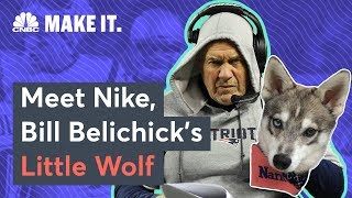 Meet Bill Belichicks Dog Nike [upl. by Namus397]