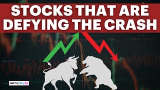 These Stocks Are Beating The Market Crash amp Trading In Green [upl. by Ecargyram]