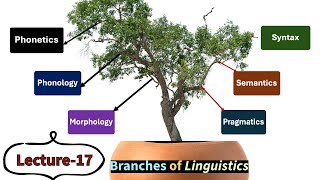 Lecture17 Branches of Linguistics Phonetics Phonology Morphology Syntax Semantics etc [upl. by Obbard]