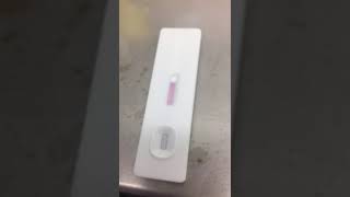 JOYSBIO SARSCOV2 Antigen Rapid Test Kit  Field Video from EU User [upl. by Aled]