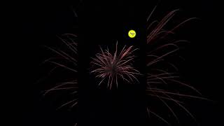 Testing Every Firework in Fireworks Mania gaming fireworks shorts 22 [upl. by Haye]