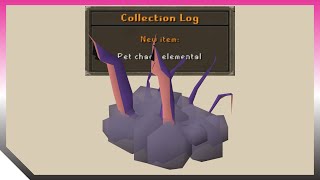 Chaos Elemental Pet Drop 🦑🌩️ OSRS Old School RuneScape [upl. by Ynttirb]