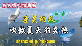 圣灵的风吹散夏天的炎热🔥🔥🔥方言祷告加油站🔥方言祷告说方言SPEAKING IN TONGUES烈火方言 [upl. by Perice]