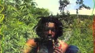 PETER TOSH LIVE INTERVIEW OVER 20 YEARS OLD  TO ALL PETER TOSH FANS  TOUCHUP TV [upl. by Susana288]